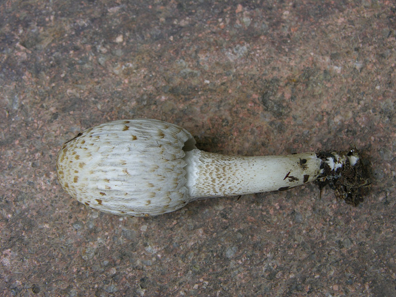 Ritrovamenti del 16 maggio.